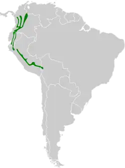 Distribución geográfica del trepatroncos tiranino.