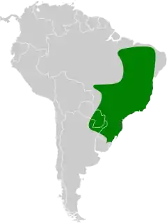 Distribución geográfica del trepatroncos oscuro.