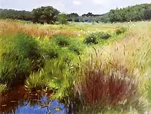 Marshland, Medfield, 1890, colección particular.