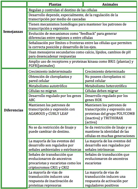 Desarrollo en plantas y animales.