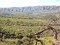 Desde Singuil hacia Los Navarros.