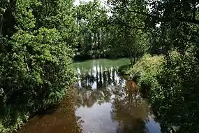 Desembocadura del río Bayas (agua marrón oscura) en el río Ebro (agua verdosa).