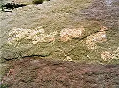 Primeras representaciones de ovejas en la arqueología somalí en Dhambalin