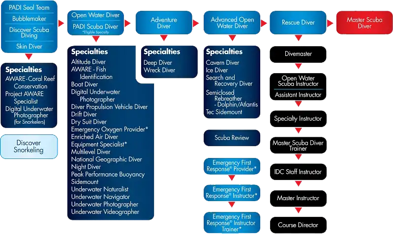 Diagrama cursos de buceo y submarinismo PADI