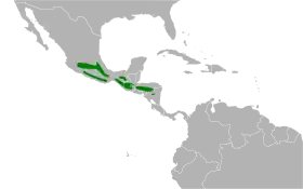 Distribución geográfica del pinchaflor ventricanelo.