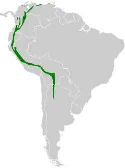 Distribución geográfica del pinchaflor ferrugíneo.