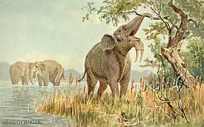 Dibujo de un Deinotherium, de Heinrich Harder