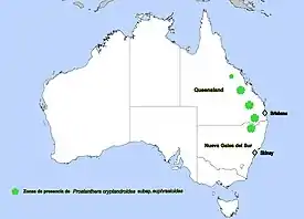 Distribución de Prostanthera cryptandroides subsp. euphrasioides en Australia, inspirado de Conn B.J., 1999