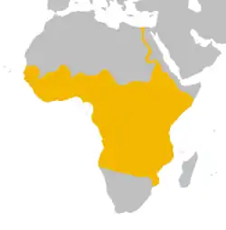 Distribución actual de la familia Mormyridae.