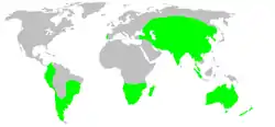 Distribución de la Familia