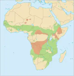      Distribución geográfica del facóquero común     Rango probable, o hallazgos accidentales.