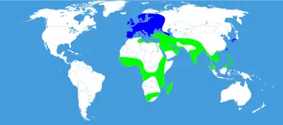 Distribución: azul = verano, verde = todo el año