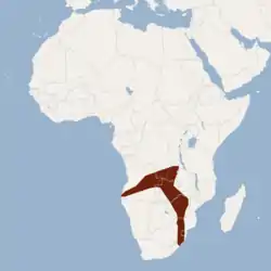 Distribución de H. anchietae