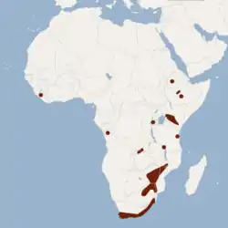 Distribución de Myotis tricolor