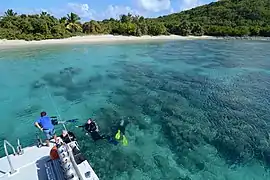 Inalterados, prístinos y desconocidos sitios de buceo en Playa Flamenco