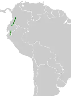 Distribución geográfica del cotinga de Remsen.