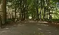 Doorn, el brezal: el Dartheide