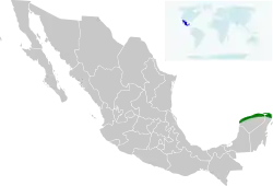 Distribución de Doricha eliza