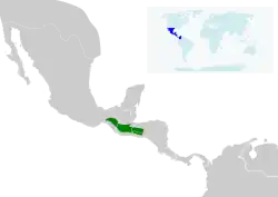 Distribución de Doricha enicura