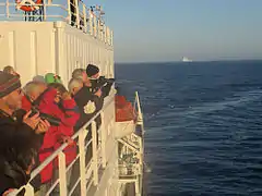 Turistas observan ballenas en el pasaje de Drake