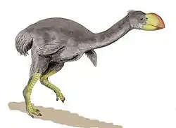 Dromornis (Anseriforme del Mioceno)