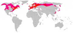 Mapa de distribución de la Drosera de hojas redondas (rojo = común; rosa = dispersa)