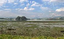 Vista de Dumbarton con la marea baja.