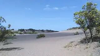 Dunas de Baní