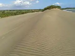 Cima de Las Dunas