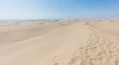 Dunas de Ica