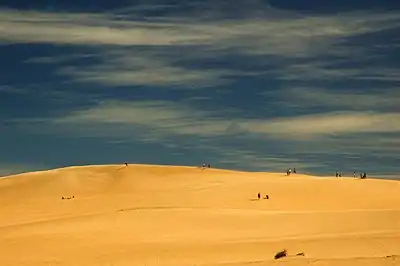 Dunas de arena que separan Valizas de Cabo Polonio (enero de 2006).