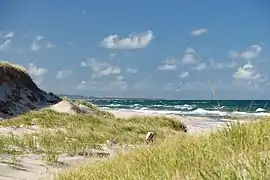 Dune du nord