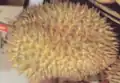 Durian