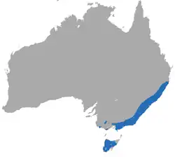 Mapa de Distribución de A. swainsonii