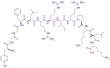 Imagen de la estructura