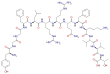 Imagen de la estructura