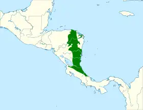 Distribución geográfica del batarito estriado.