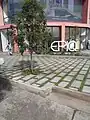 EPIQ, Quito.