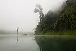 Kayak en el lago Cheow Lan