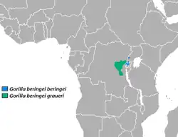 Distribución del gorila oriental