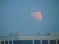 Eclipse al atardecer tomado en Roma, Italia.