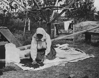 "Las bayas secas se empaquetan para los lujos de invierno"