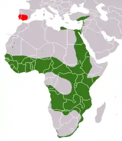 alt=Distribución del meloncillo:
 nativo
 introducido