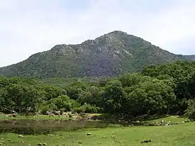 El Picacho en el Parque Natural Los Alcornocales