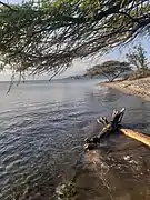 Playa El Derrumbao, Cerca de Salinas