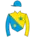 Horse racing silks