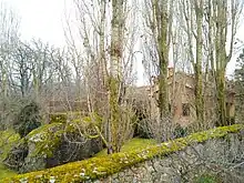 Vista del jardín en época invernal