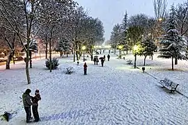 El paseo de la nieve