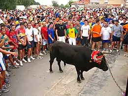 El torico de la cuerda