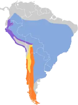 Distribución geográfica del fiofío crestiblanco (incluyendo E. a. chilensis).